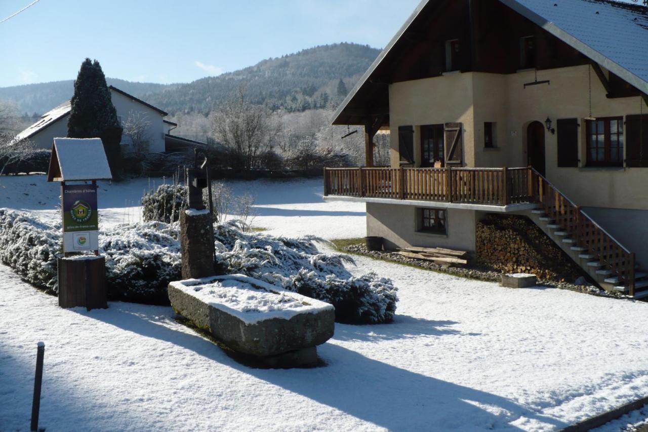 Les Jumeaux Apartment Granges-sur-Vologne Екстериор снимка