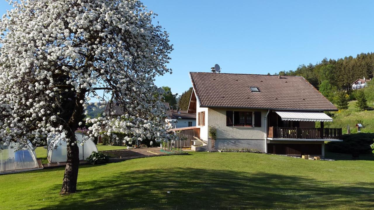 Les Jumeaux Apartment Granges-sur-Vologne Екстериор снимка