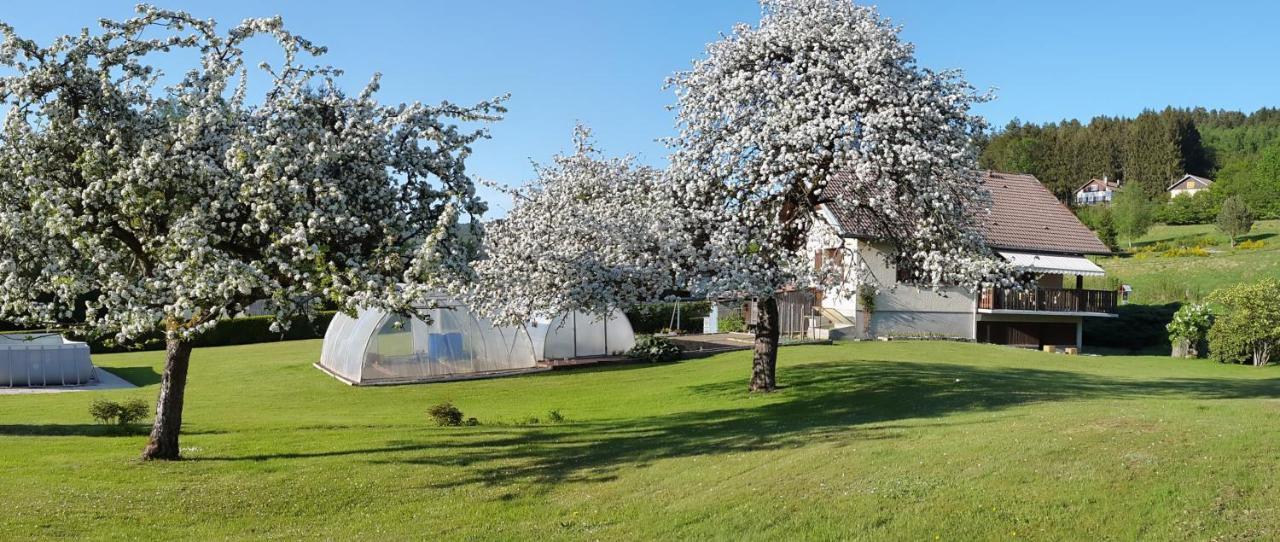 Les Jumeaux Apartment Granges-sur-Vologne Екстериор снимка