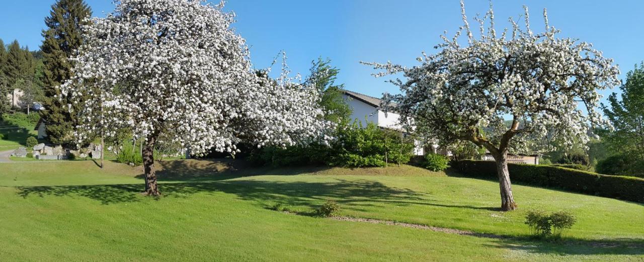 Les Jumeaux Apartment Granges-sur-Vologne Екстериор снимка